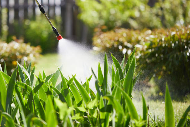 24/7 Emergency Bed Bug Control experts in Burns, OR